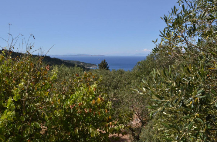 Anna’s Cottage, Loggos