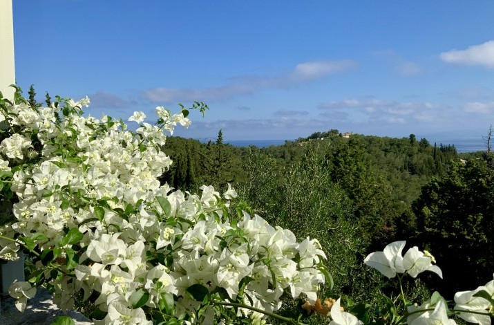 Villa Alexa, Nr Loggos