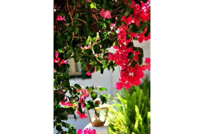 Pithari Cottage, Gaios